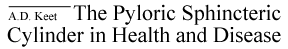 The Pyloric Sphincteric Cylinder in Health and Disease